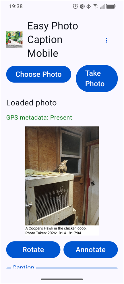 Easy Photo Caption Mobile showing a captioned Cooper's hawk photo preview